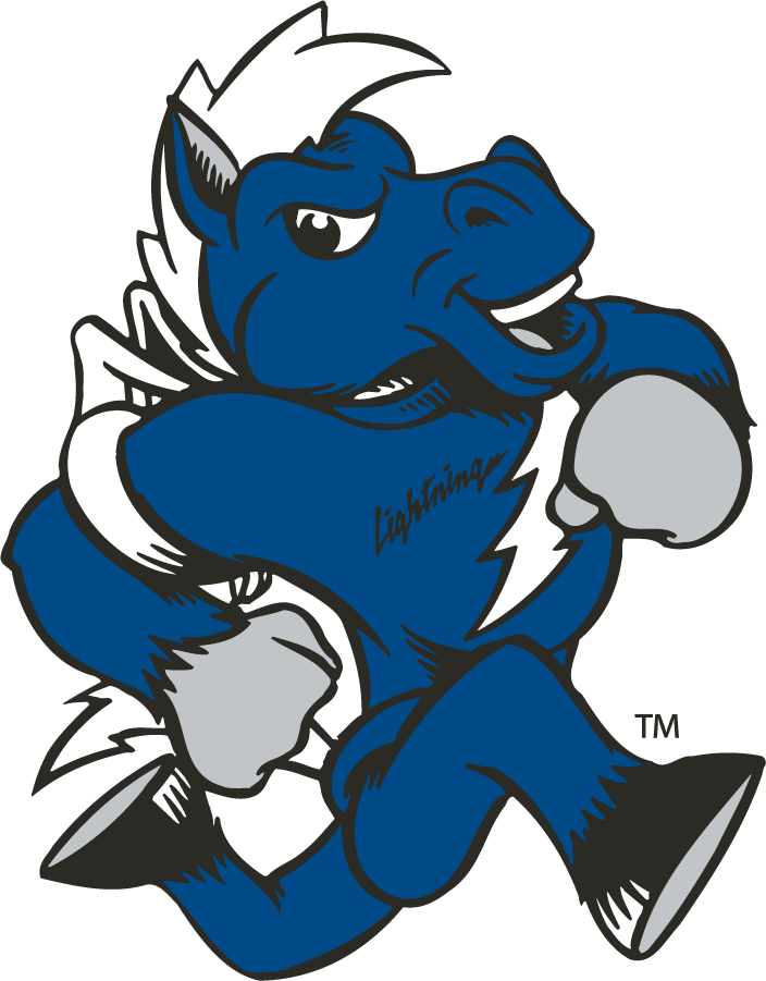 Middle Tennessee Blue Raiders 1998-2015 Mascot Logo iron on transfers for clothing